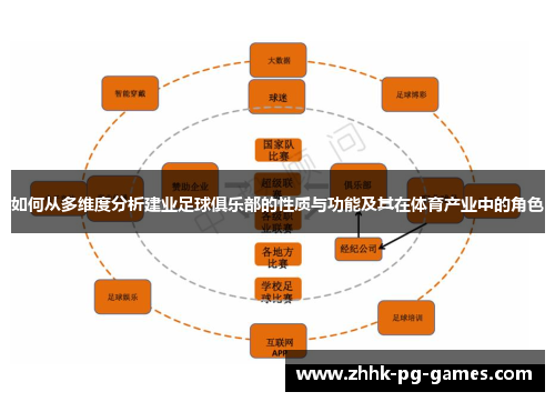 如何从多维度分析建业足球俱乐部的性质与功能及其在体育产业中的角色